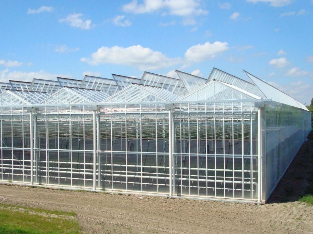 Greenhouse glass