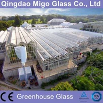 4mm härdat glas för kommersiella växthus